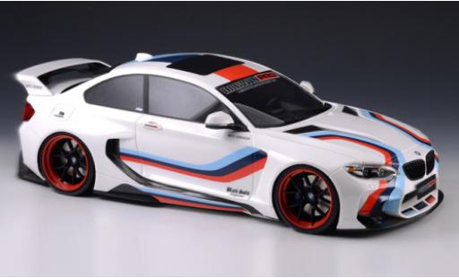 Coche miniatura Bmw M2 1/18 GLM 35i (F22) DarwinPRO MTC Black Sails Widebody blanco/Dekor 2015 Bmw M2 1/18 GLM 35i (F22) DarwinPRO MTC Black Sails Widebody blanco/Dekor 2015 coche miniatura