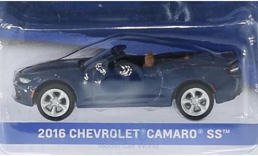 Chevrolet Camaro 1/64 Greenlight SS metalico azul 2016 General Motors Series 1 ohne Vitrine coche miniatura