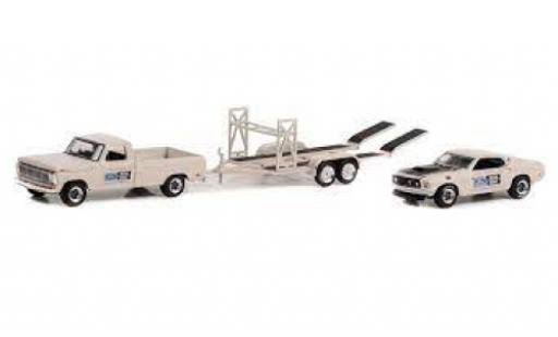 Coche miniatura Ford F-1 1/64 Greenlight 00 Pete Peterson 1969 Ford F-1 1/64 Greenlight 00 Pete Peterson 1969 coche miniatura