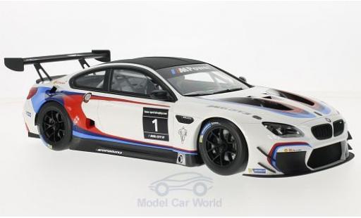 Bmw M6 1/18 Kyosho GT3 blanco/negro Sportstrophy 2016 2016 The Next 100 Years ohne Vitrine coche miniatura