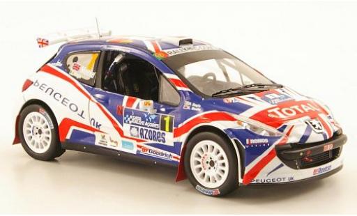 Peugeot 207 1/43 IXO S2000 No.1 Total 2010 K.Meeke coche miniatura