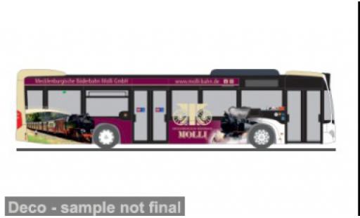 Mercedes Citaro 1/87 Rietze 2012 Mecklenburgische3 B&auml;derbahn Molli 1:87 coche miniatura