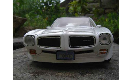 Pontiac Firebird 1973 1/18 Ertl trans am coche miniatura
